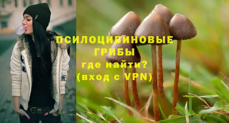 Галлюциногенные грибы MAGIC MUSHROOMS  omg tor  Галич 