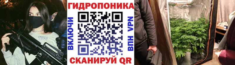 где можно купить   Галич  Бошки марихуана Amnesia 